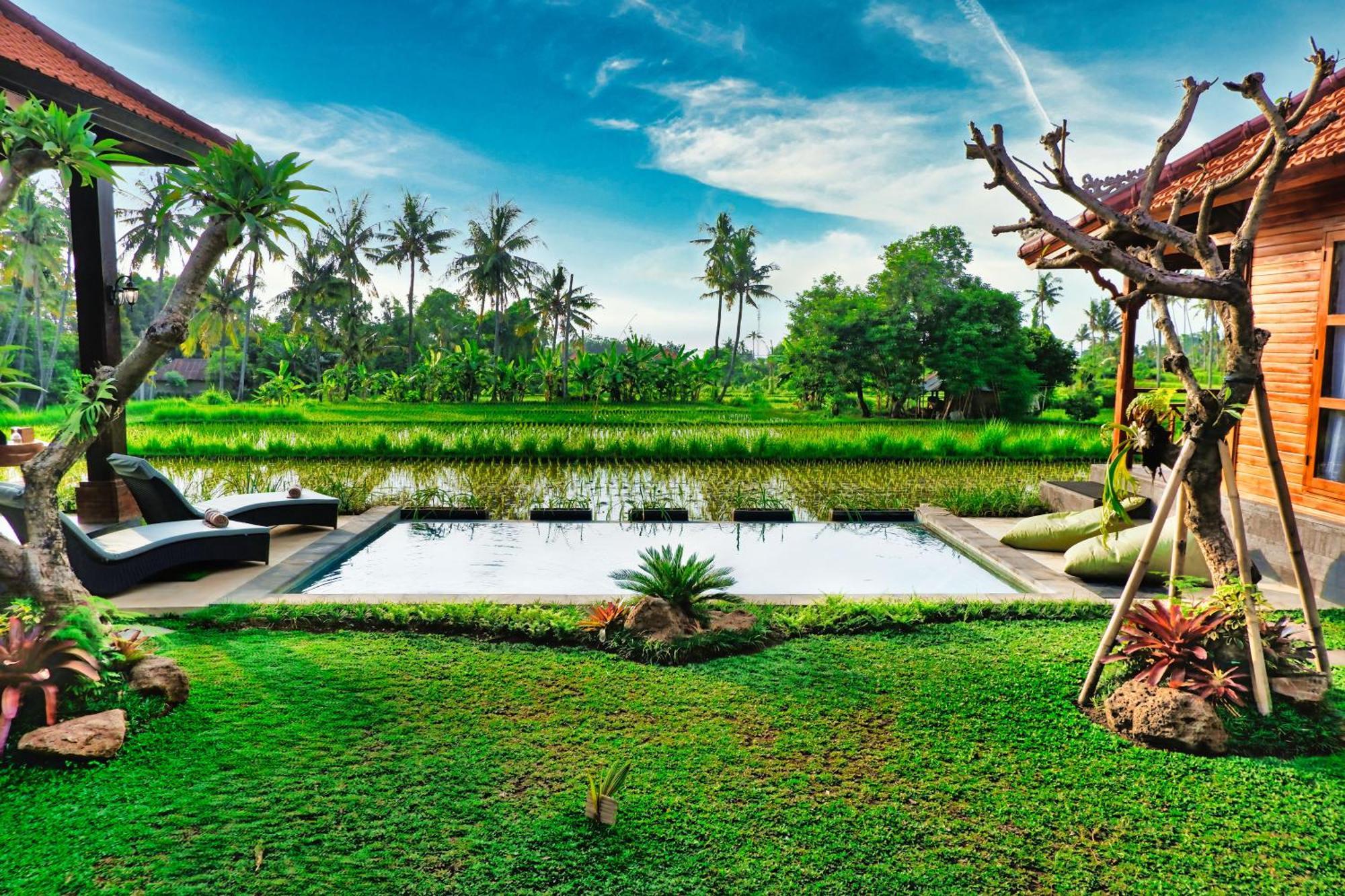 Dapha Eco Lodge Lovina Sukasada Ngoại thất bức ảnh